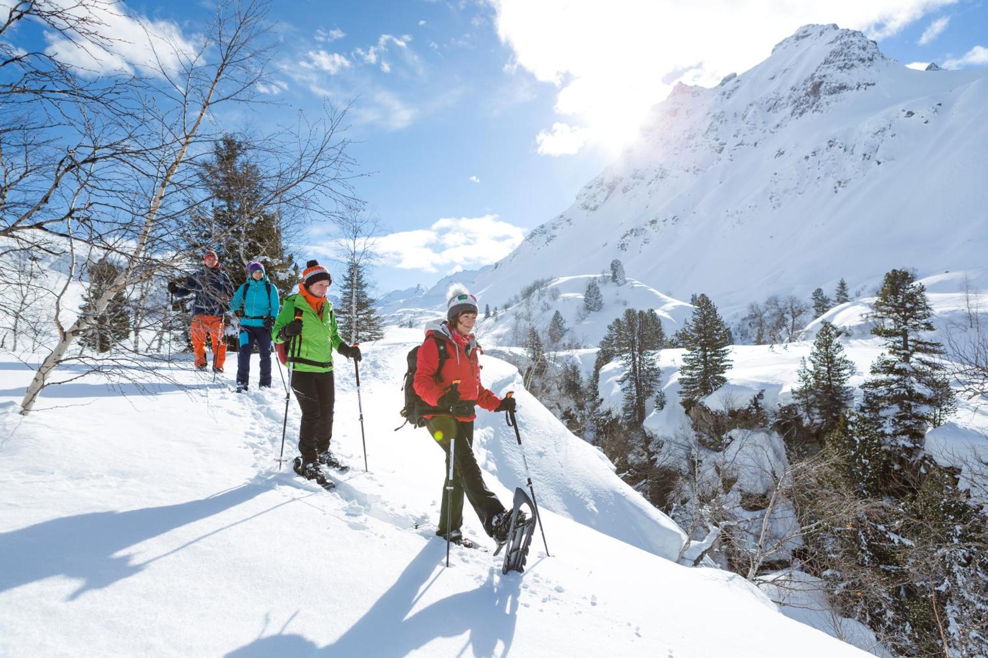 Appartamento Alpenblick Montafon By A-appartments